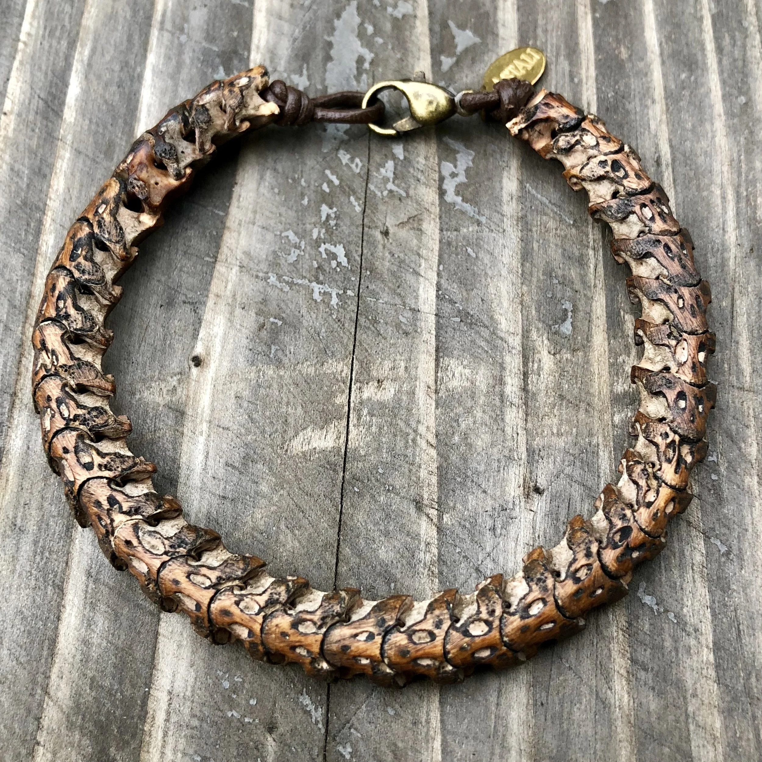 Snake Vertebrae Bracelet — ASTALI